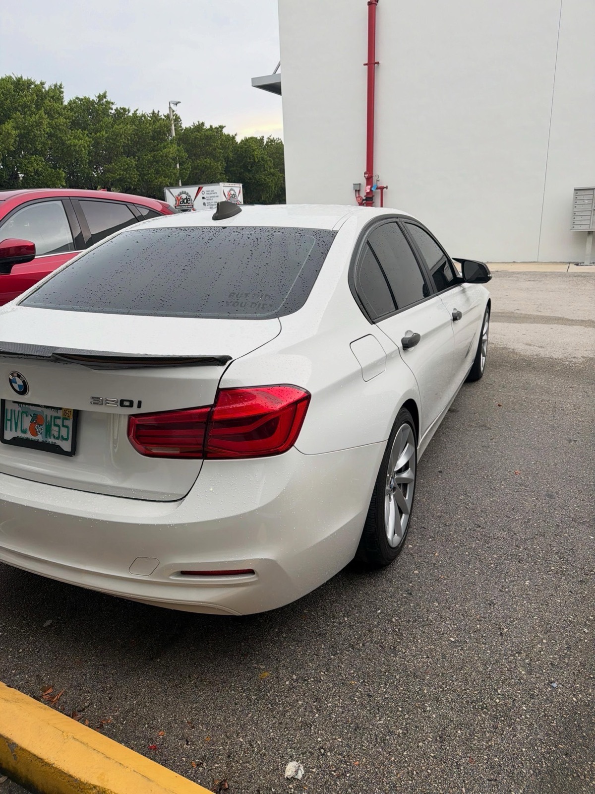 Rear view of the restored BMW after detailing